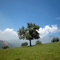 Charvak village