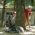 Uzbekistan children
