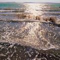 Aydarkul Lake