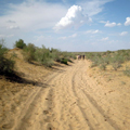 Deserts of Central Asia
