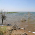 Aydarkul Lake. Kizil-Kum desert