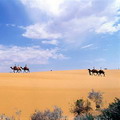 Kizil-Kum desert