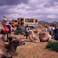 Deserts & Steppes of Central Asia