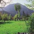 Shakhimardan mountain area