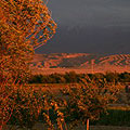 Ferghana Valley