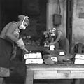 J. Hanzelka & M. Zikmund