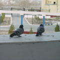 Nukus Hotel - Darbent