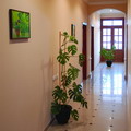 Oxus Hotel