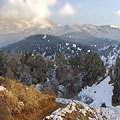 Nature of Kurama