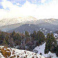 Nature of Kurama