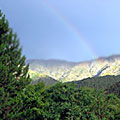 Nature of Kurama