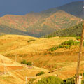 Nature of Kurama