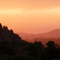 Nature of Kurama
