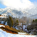 Nature of Kurama