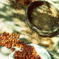 "Kyrgyz Cuisine"
