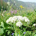 Kyrgyzstan mountains