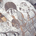 "Kyrgyzstan Petroglyphs"
