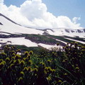 "Kyrgyzstan Petroglyphs"