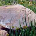 "Kyrgyzstan Petroglyphs"