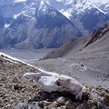"Kyrgyzstan Tourism & Travel"