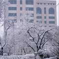 My city