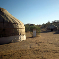 Yurt camp in Nurata