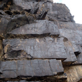 Petroglyphs