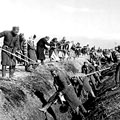 Clearing of an irrigating network in collective farm. Tashkent. 1944.  V. Kosovskiy
