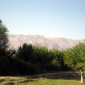 Samarkand pictures
