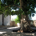 Shakhrisabz pictures