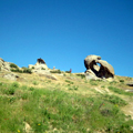 Shakhrisabz pictures