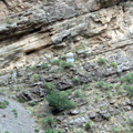 South of Uzbekistan — www.geocities.jp/uzbekfriends/index.html