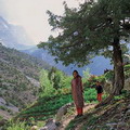 Tajikistan children
