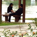 Japanese Garden