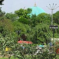 Tashkent pictures