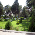 Termez pictures