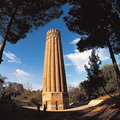 Picture of Termez