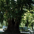 Ashgabad city