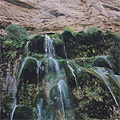 Water is Life