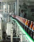 Beer Tasting