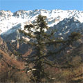 Snowboarding and Skiing in Uzbekistan. Chimgan pictures