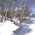 Snowboarding and Skiing in Uzbekistan. Chimgan pictures