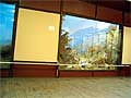 Photos of Ferghana Museum