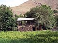 Shiringul�s guesthouse in Hayat village
