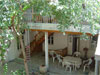 Hotels in Bukhara