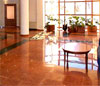Hotel Beldersay Oromgohi. Beldersay Hotels