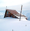 Hotels in Chimgan