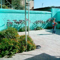 Hotels in Samarkand