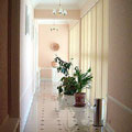 Hotels in Samarkand