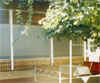 Hotels in Samarkand